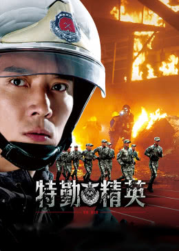 特勤精英(DVD版)